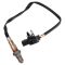 Oxygen Sensor Kit