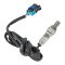 O2 Oxygen Sensor Set of 2 - Delphi