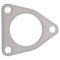 Catalytic Converter Gasket