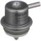 Fuel Injection Pressure Regulator - Delphi