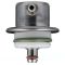 Fuel Injection Pressure Regulator - Delphi