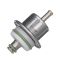 Fuel Injection Pressure Regulator - Delphi