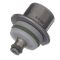 Fuel Injection Pressure Regulator - Delphi