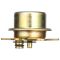 Fuel Injection Pressure Regulator - Delphi