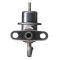 Fuel Injection Pressure Regulator - Delphi