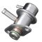 Fuel Injection Pressure Regulator - Delphi