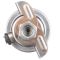 Fuel Injection Pressure Regulator - Delphi