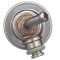 Fuel Injection Pressure Regulator - Delphi