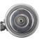 Fuel Injection Pressure Regulator - Delphi