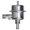 Fuel Injection Pressure Regulator - Delphi