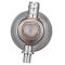 Fuel Injection Pressure Regulator - Delphi