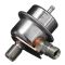 Fuel Injection Pressure Regulator - Delphi