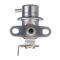 Fuel Injection Pressure Regulator - Delphi