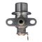 Fuel Injection Pressure Regulator - Delphi