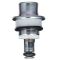 Fuel Injection Pressure Regulator - Delphi