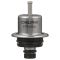 Fuel Injection Pressure Regulator - Delphi