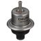 Fuel Injection Pressure Regulator - Delphi