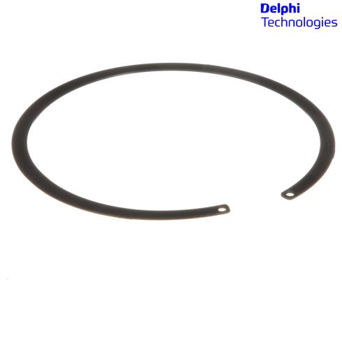 Fuel Pump Lock Ring - Delphi