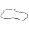 02-06 Nissan Altima, Sentra w/2.5L Valve Cover Gasket (Nissan)