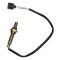 O2 Oxygen Sensor