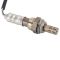 O2 Oxygen Sensor