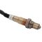 O2 Oxygen Sensor