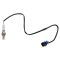 O2 Oxygen Sensor