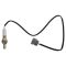 O2 Oxygen Sensor