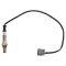 O2 Oxygen Sensor