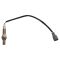 O2 Oxygen Sensor