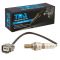 O2 Oxygen Sensor