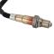 O2 Oxygen Sensor