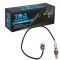 O2 Oxygen Sensor