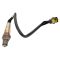 O2 Oxygen Sensor