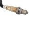 O2 Oxygen Sensor