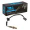 O2 Oxygen Sensor