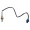 O2 Oxygen Sensor