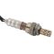 O2 Oxygen Sensor