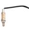 O2 Oxygen Sensor