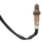 O2 Oxygen Sensor