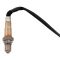 O2 Oxygen Sensor