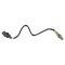 99-07 Multifit O2 Oxygen Sensor - 5 Wire - Direct Fit