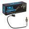 O2 Oxygen Sensor