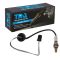 O2 Oxygen Sensor