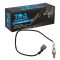 O2 Oxygen Sensor