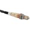 O2 Oxygen Sensor