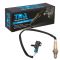 O2 Oxygen Sensor