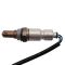 O2 Oxygen Sensor