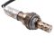 O2 Oxygen Sensor