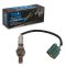 O2 Oxygen Sensor